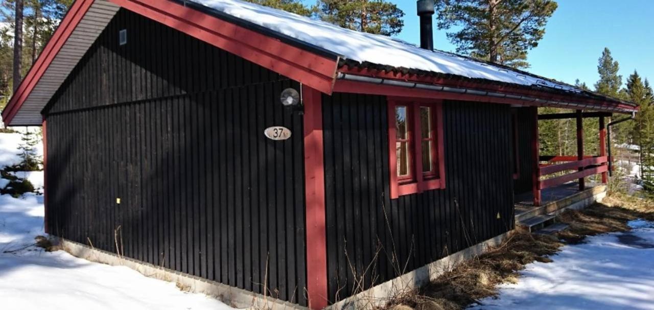 Sauna | Wi-Fi | Terrace | Wood Stove | Cable Tv Лофсдален Екстериор снимка